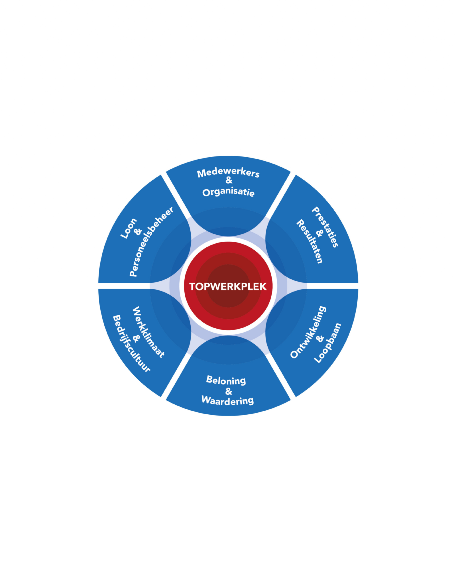 Werk maken van een excellent personeelsbeleid, een succesvol bedrijf en een fijne werkplek - Event - Annelies & Co - Human Engagement Experts